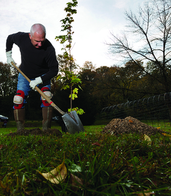 treeplanting_1.jpg