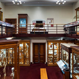 Mütter Museum