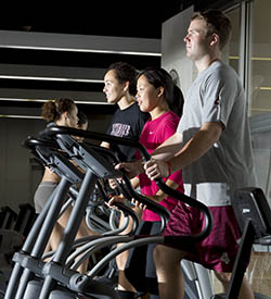 Students working out on elliptical machines