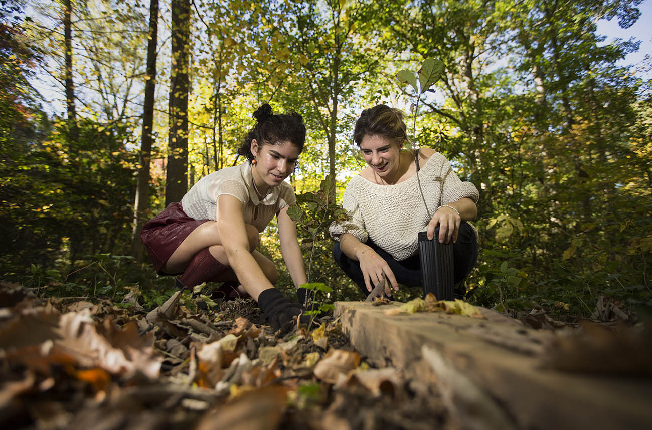 students planting