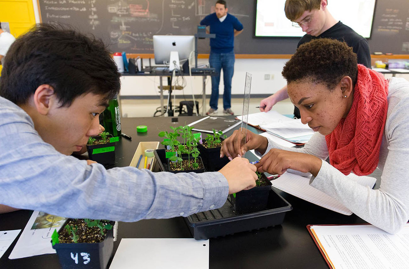 students performing lab experiment