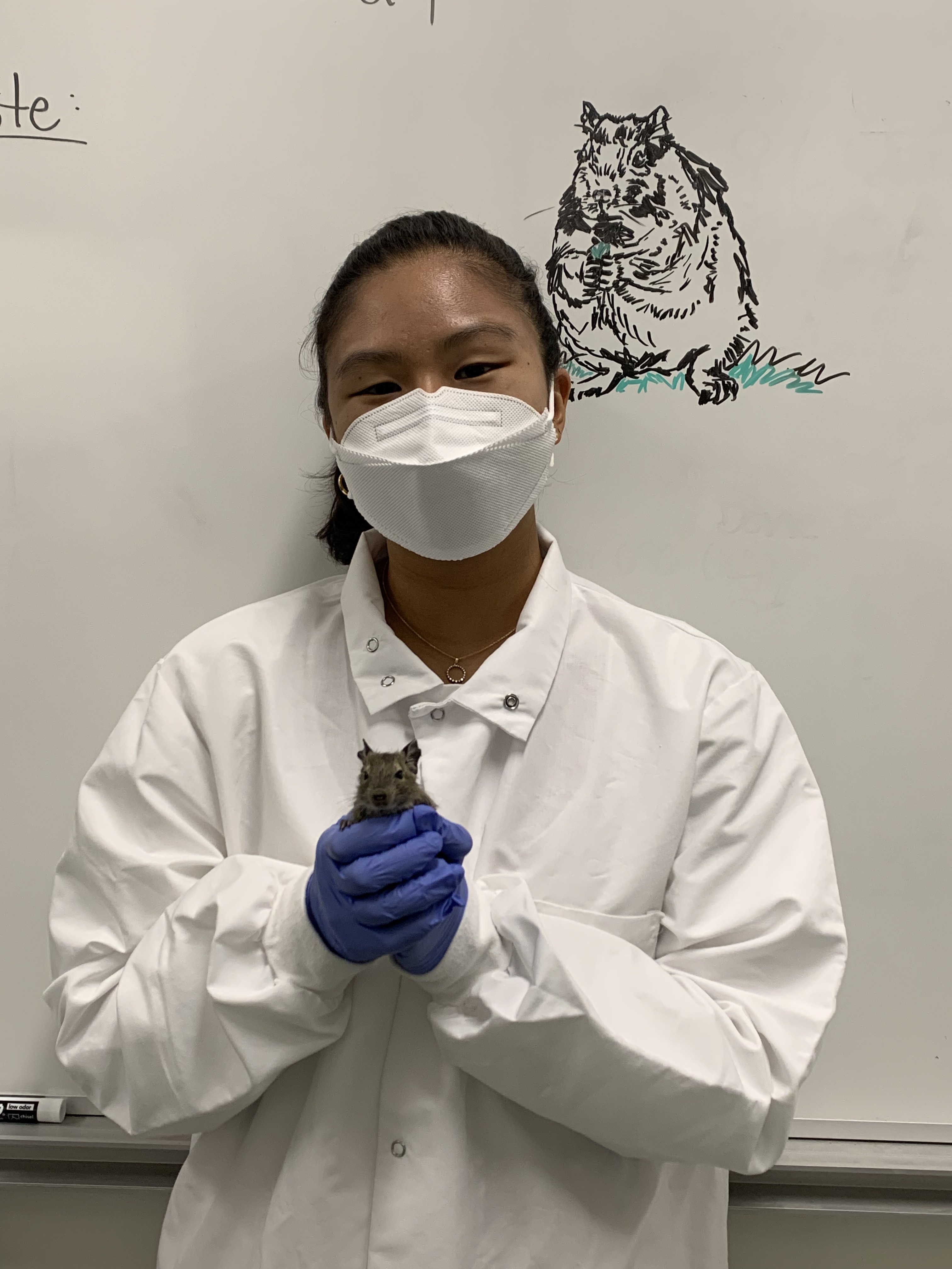Student Daniela Kim inside the lab 