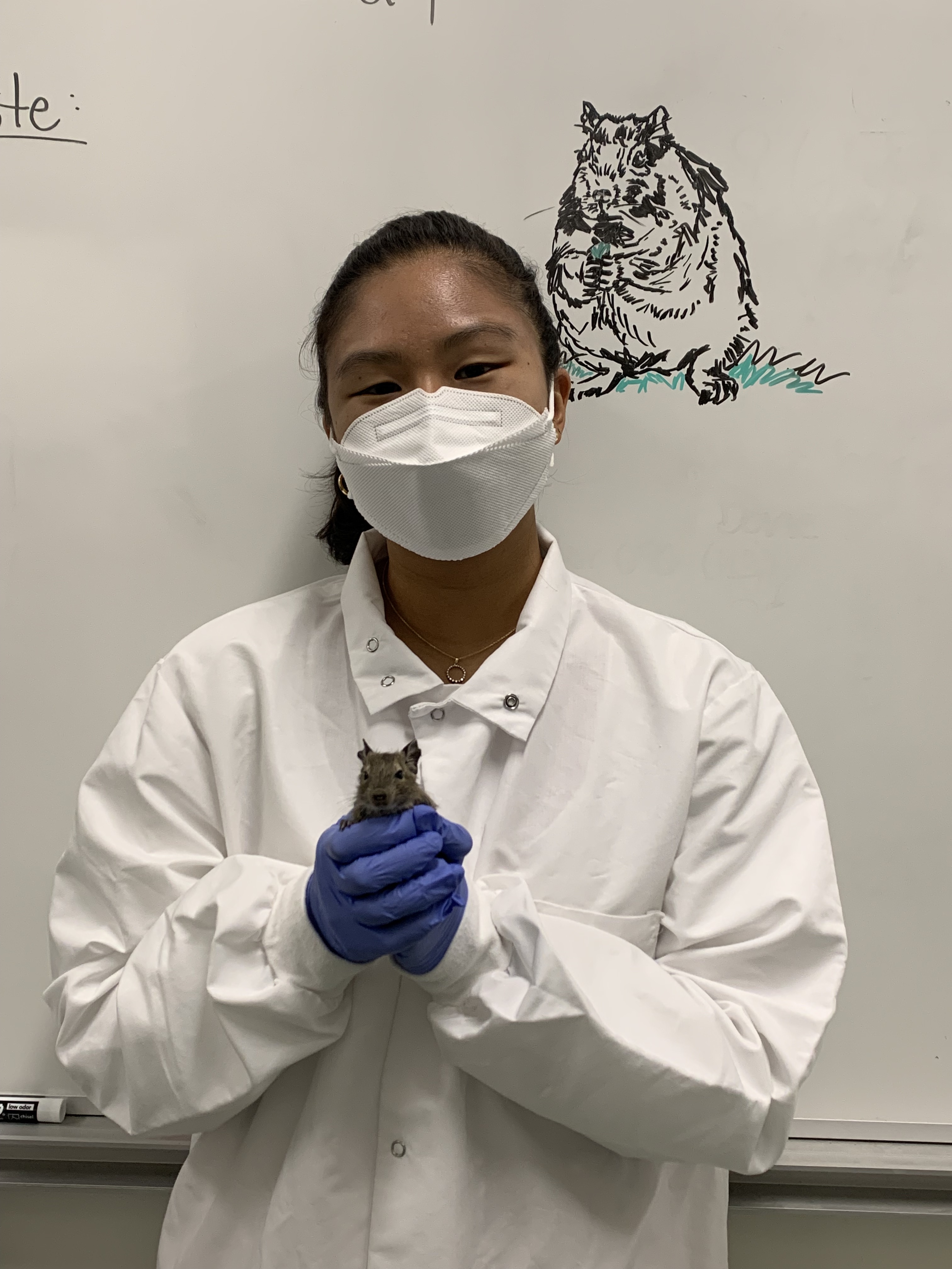 Student Daniela Kim inside the lab