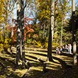 Scott Outdoor Amphitheater in the fall