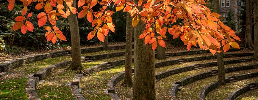 amphitheater in autumn