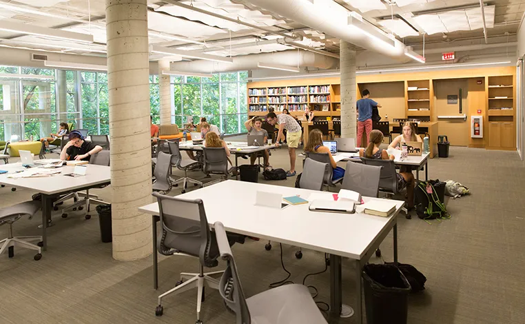 Students studying in Cornell Library