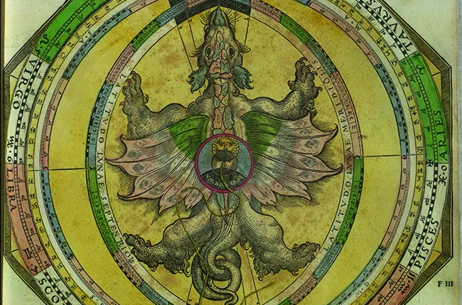 illustration from Peter Apian's Astronomicum Caesareum, 1540 of a dragon within an astronomical drawing