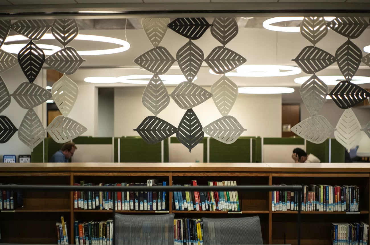 bookshelves in Mccabe library