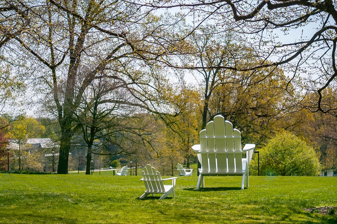 two adirondack chairs on laen