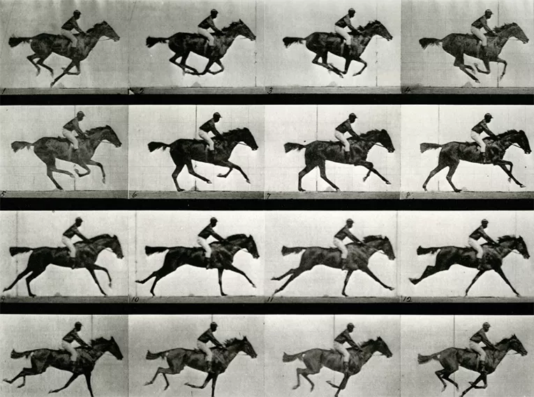 triart gallop