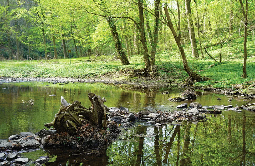 crum creek