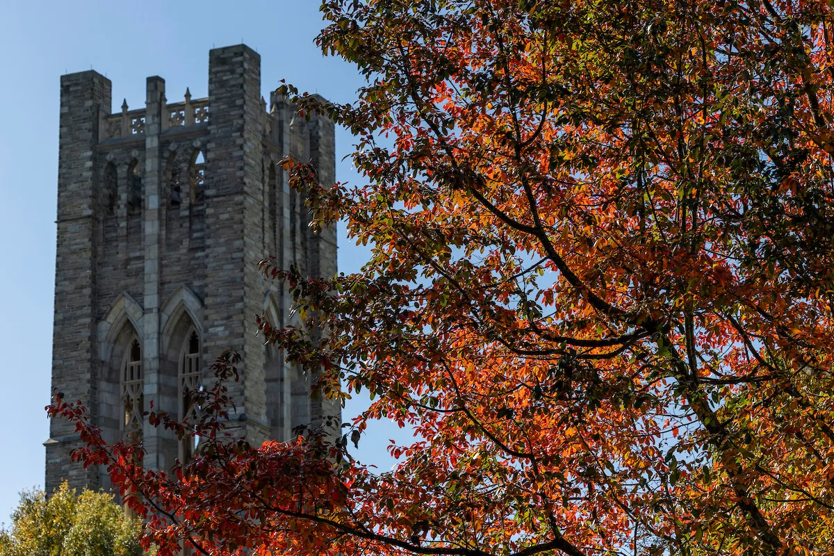 Fall foliage in front of clothier belltower in background