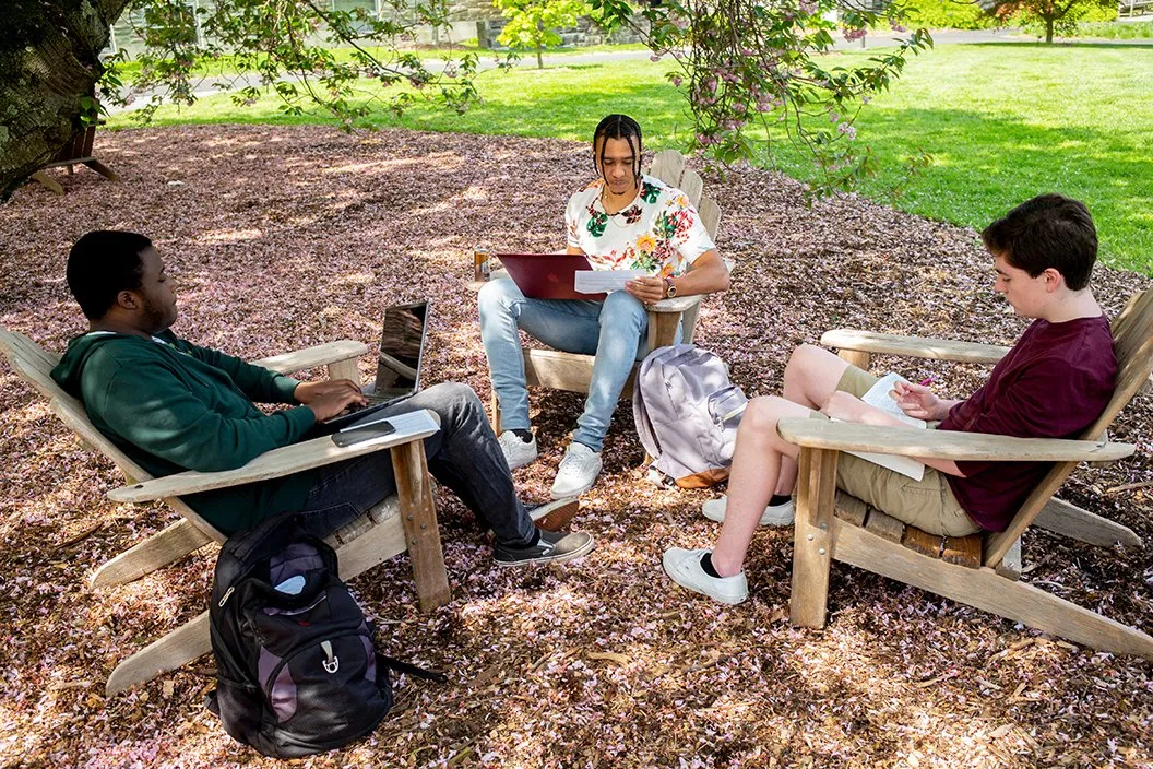 Three students sit in chairs underneath cherry tree with fallen flowers