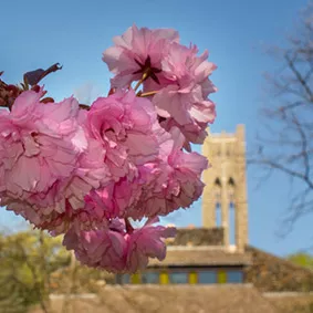 Spring at Swarthmore