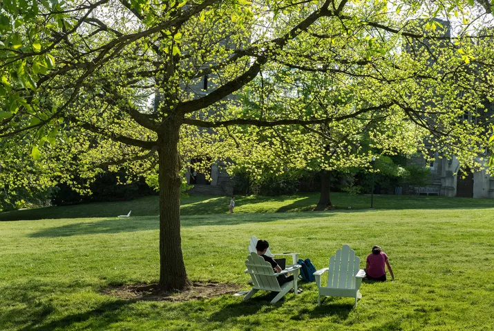 Students sit outside on green lawn