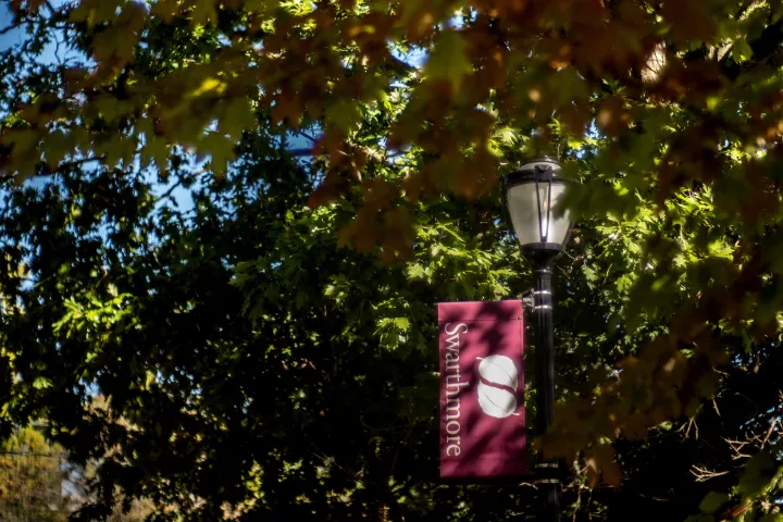 Swarthmore flag underneath fall leaves