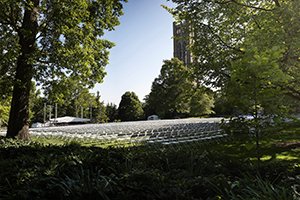 Rows of white chairs on Parrish Lawn