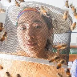 A student in a bee suit studies live specimens