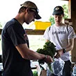 Students bagging vegetables