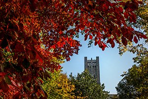 Bell tower in background with blue skies. Red leaves in foreground
