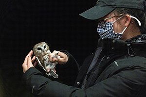 Person wearing mask holds owl
