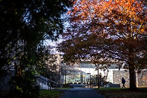 Trees in fall near science center