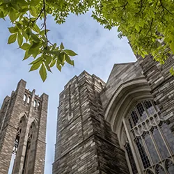 Shot of tarble belltower and clothier hall from below
