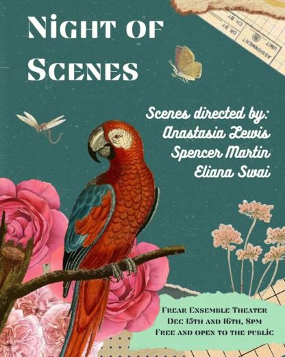 Poster for Night of Scenes.