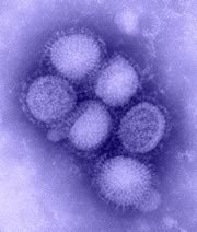 microscopic view of flu virus