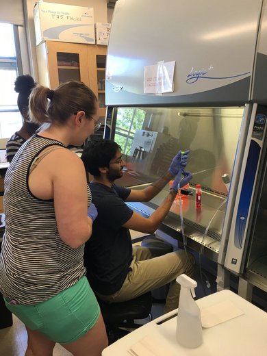 Rajiv Potluri '20 working at a biosafety cabinet with two students observing