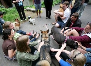 Students at this year's Pet Party