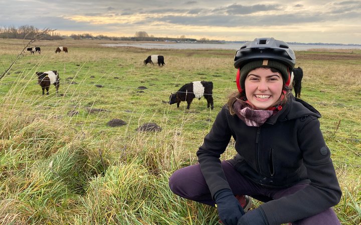 Person with helmet kneeling on field in front of grazing farm animals