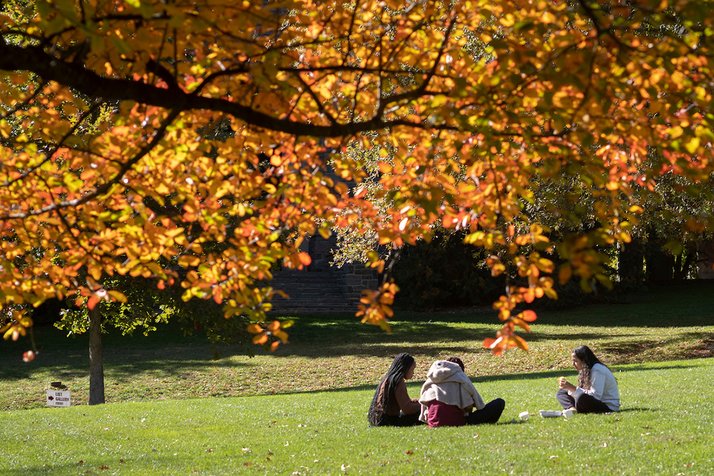 Group of people sit on grass underneath orange fall leaves