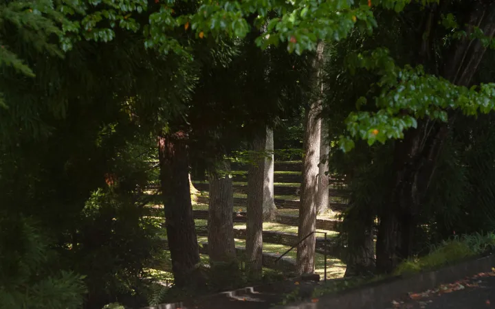 ampitheater