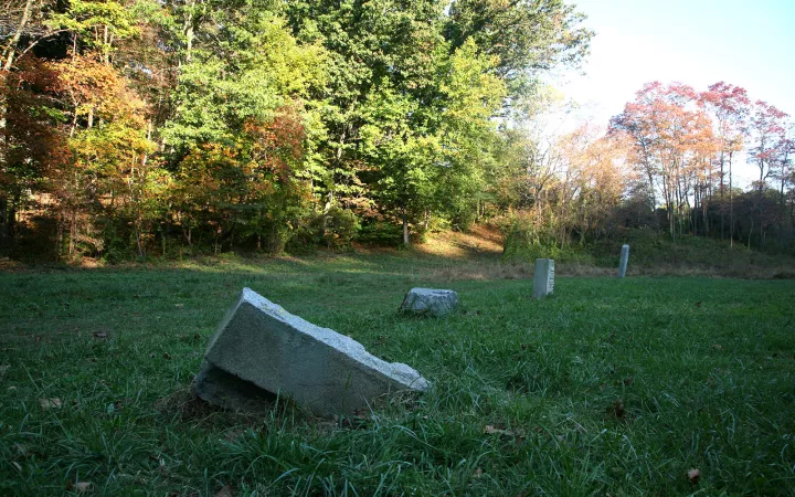 Crum Woods in Fall