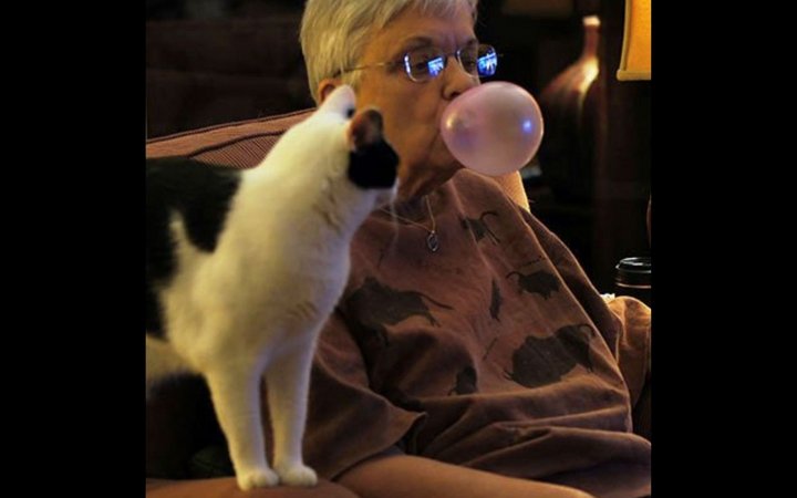 An older woman looks away from the camera as she sits back and blows bubble gum and has a black and white cat sitting next to her.