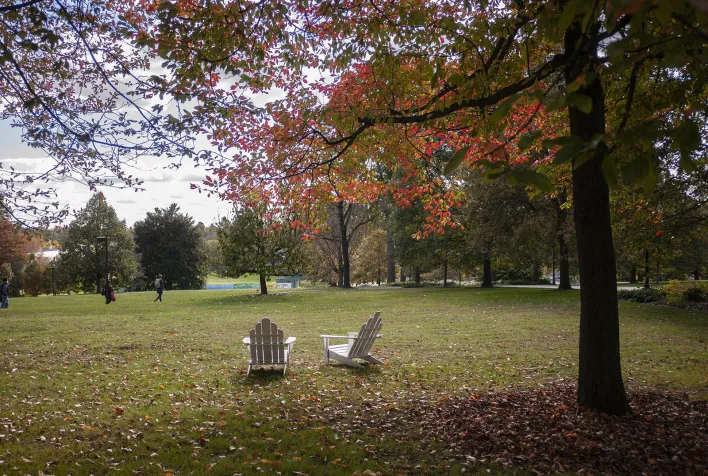 campus scene