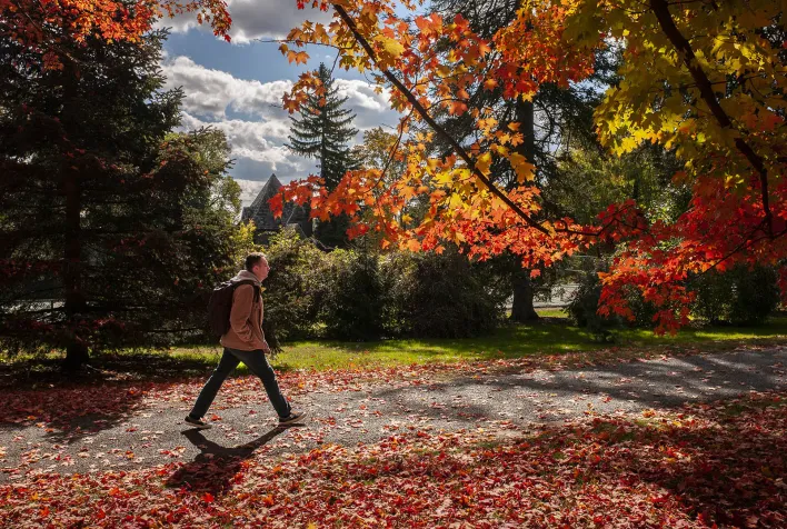 campus scene