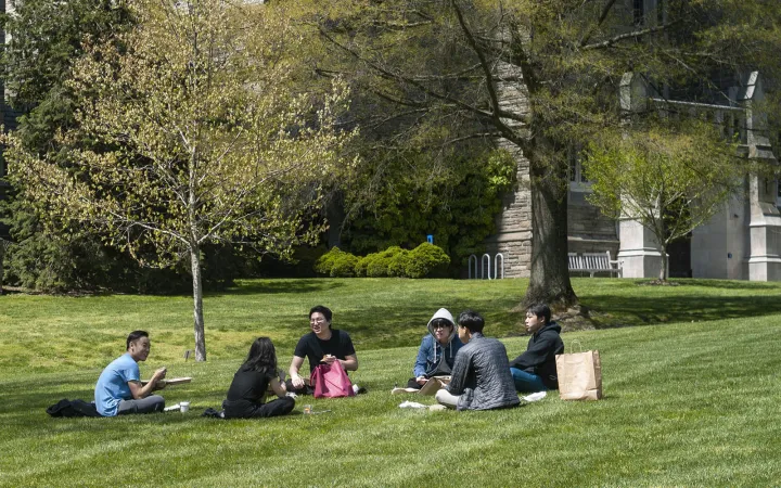 students eating lunch outside