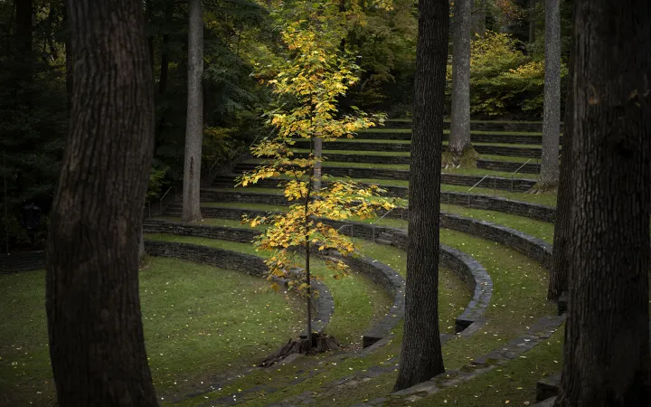 fall scene on campus