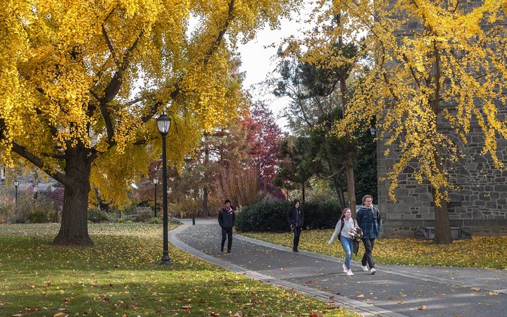 fall scene on campus