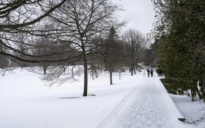 students walking in snow