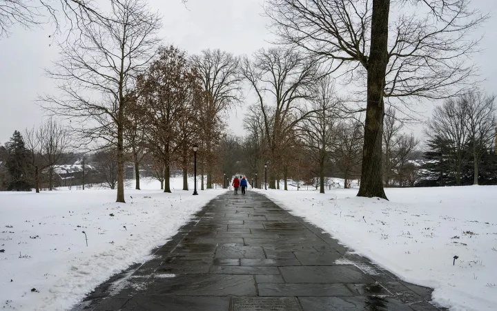 students walking on magill walk
