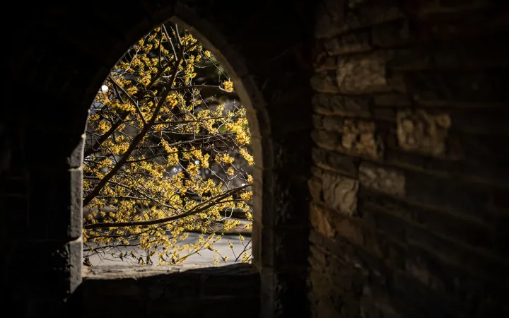 archway