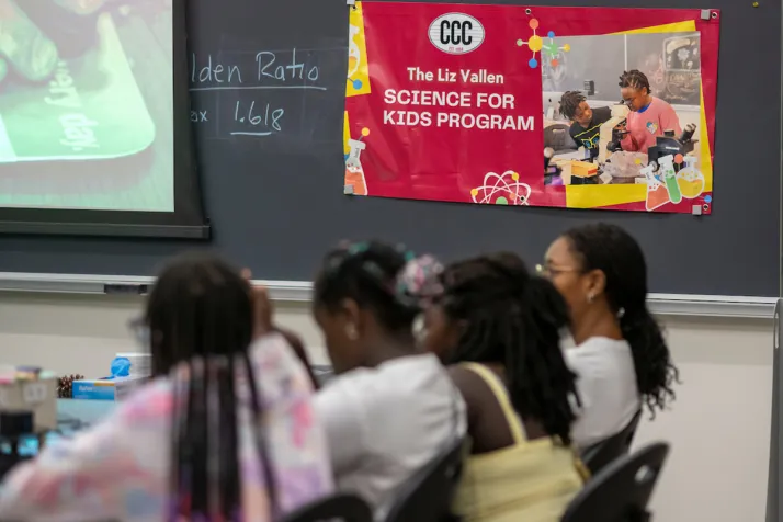 Liz Vallen science program banner