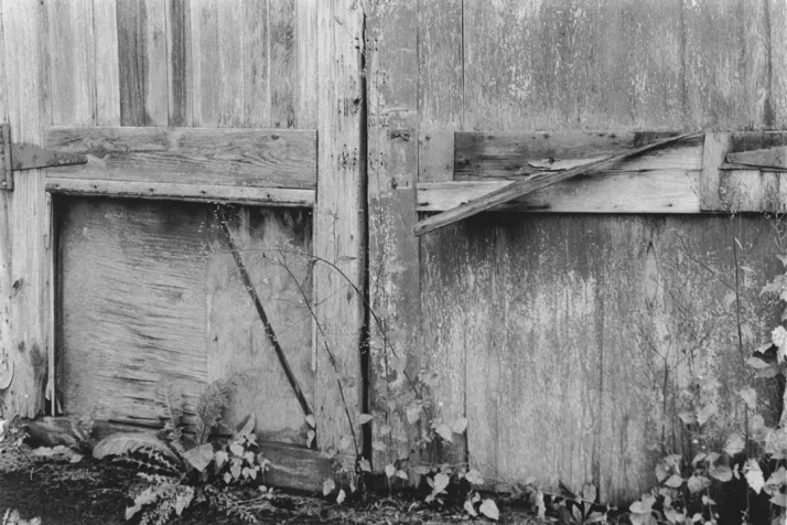 a barn door with several types of wild plants in front of it
