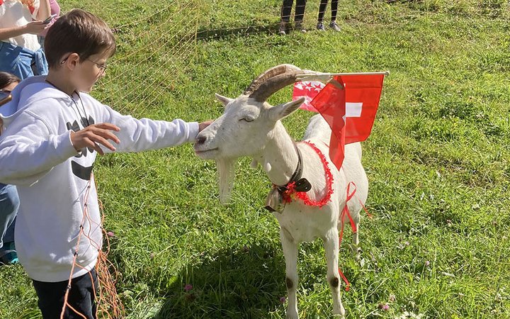 kid feeding a goat