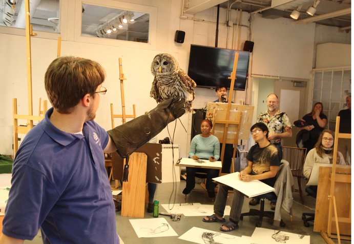 Painting class during a live birds of prey model session.