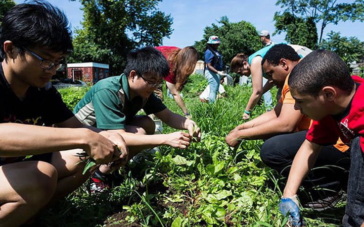 lang center fellows working in chester