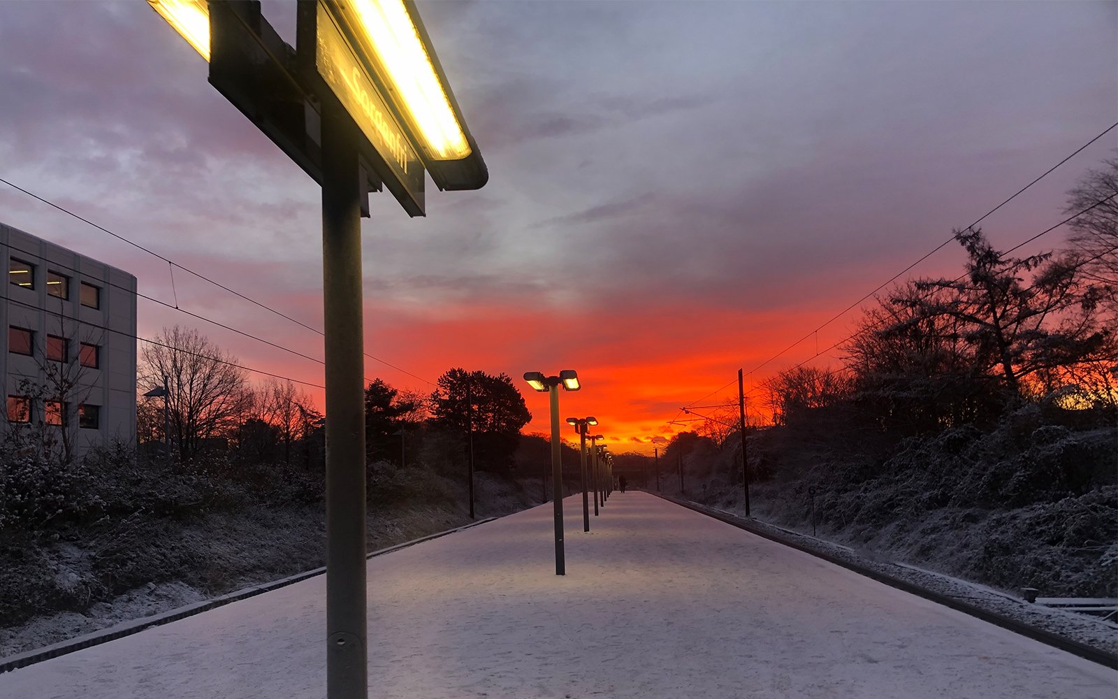 Snowy path lined by streetlights leading toward red-tinged sky
